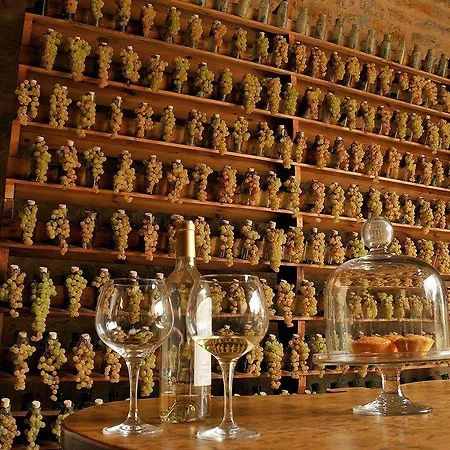 Chateau De Labro - Teritoria 2* Onet-le-Chateau